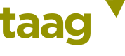 TAAG Virtual CFO Services